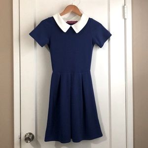 Navy Sleeved Collared Dress